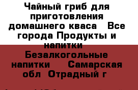 Чайный гриб для приготовления домашнего кваса - Все города Продукты и напитки » Безалкогольные напитки   . Самарская обл.,Отрадный г.